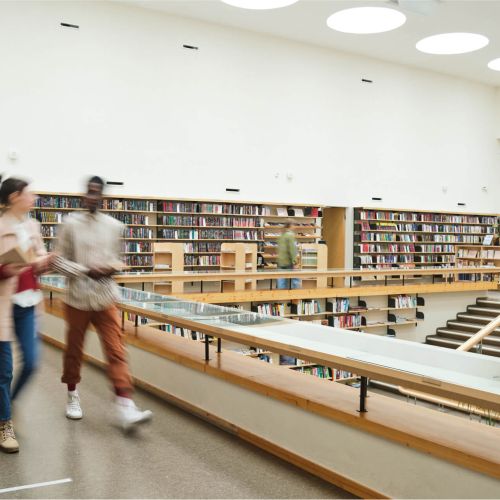 Топ-направления для образования