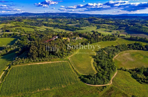 Винодельня​ в Сан-Миниато​ 39264