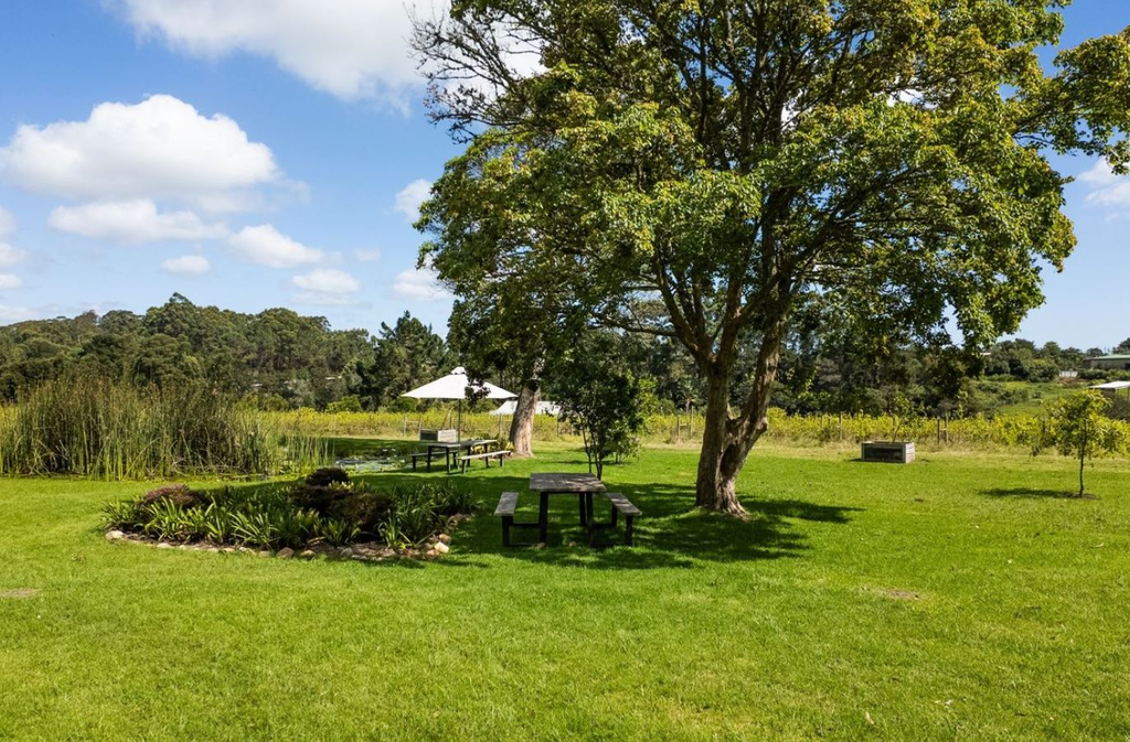 Винодельня с рестораном в Южной Африке