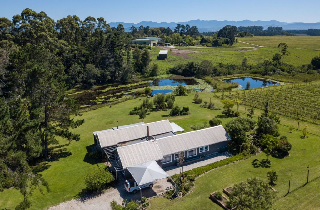 Винодельня с рестораном в Южной Африке