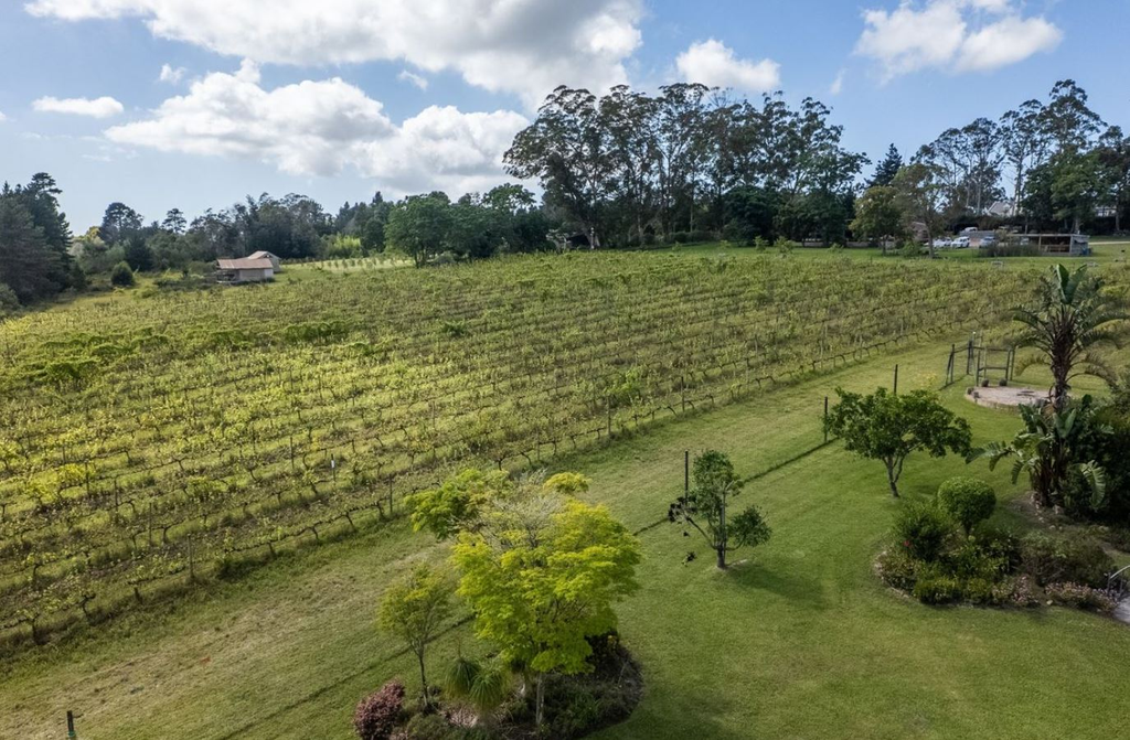 Винодельня с рестораном в Южной Африке