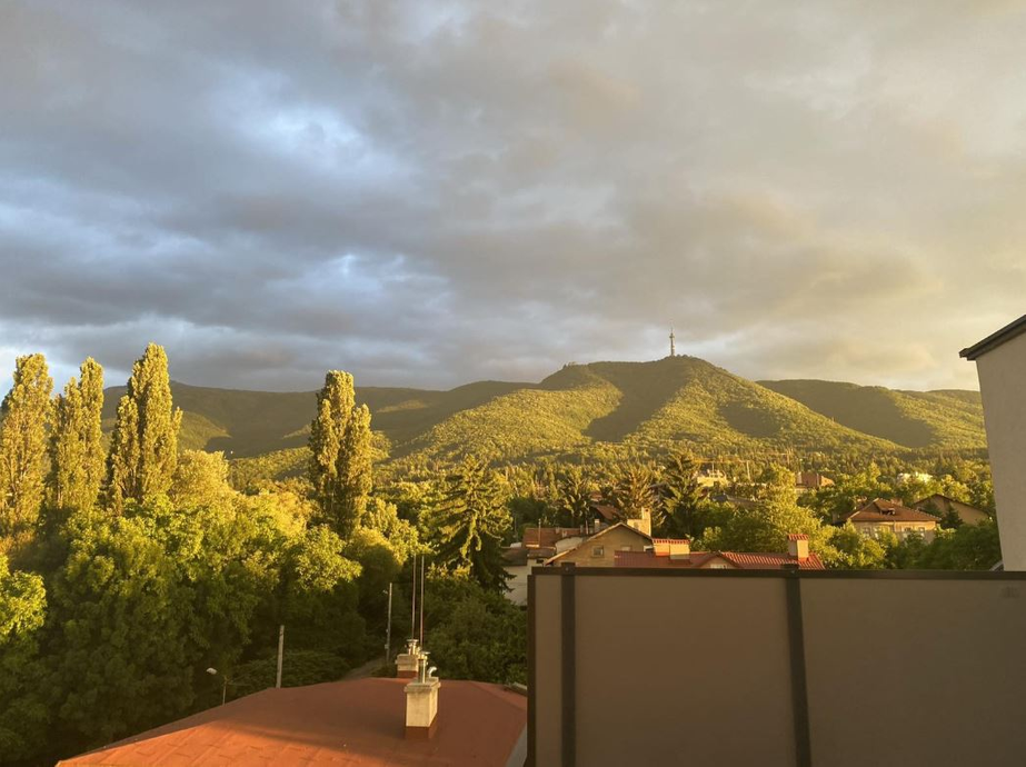 Пентхаус с 1 спальней в Бояне