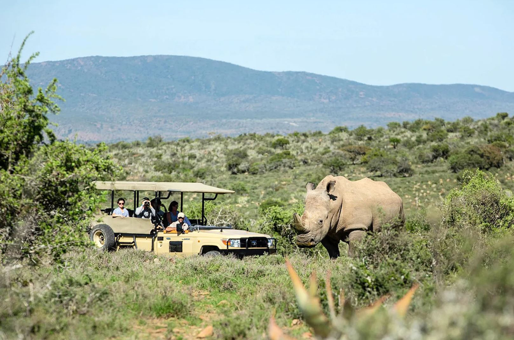 Отель в природном заповеднике в ЮАР