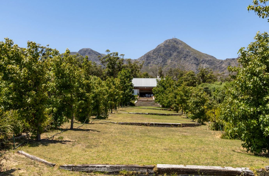 Ферма в Кейптауне