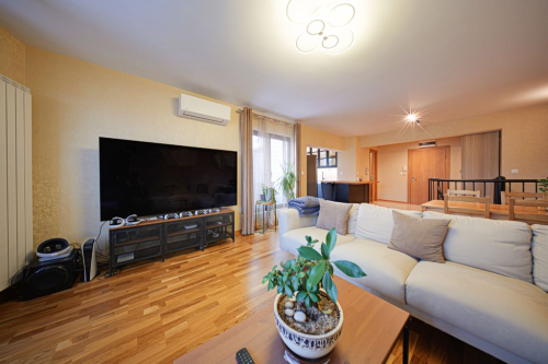 Пентхаус с 1 спальней в Бояне 39284