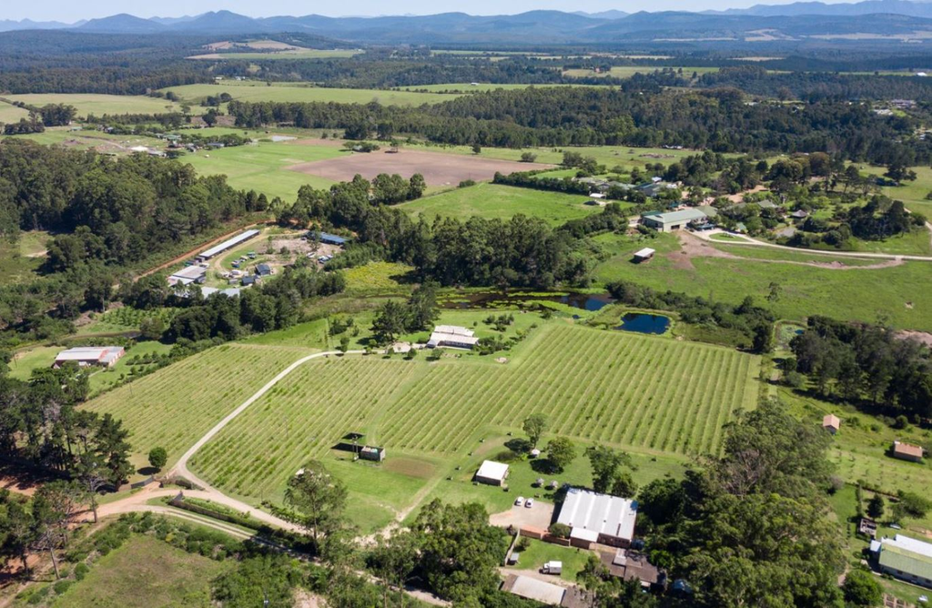 Винодельня с рестораном в Южной Африке