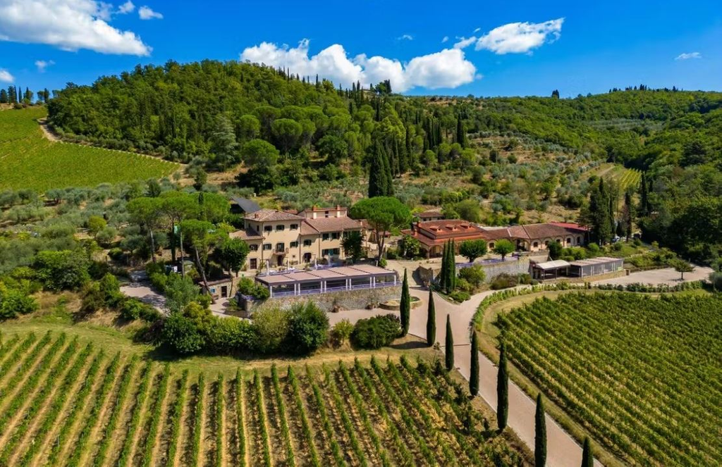 Винодельческое хозяйство со SPA-салоном и рестораном​